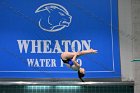 Swim vs Bentley  Wheaton College Swimming & Diving vs Bentley University. - Photo by Keith Nordstrom : Wheaton, Swimming & Diving